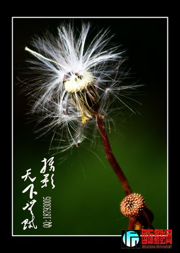 DSC07440 ����.jpg