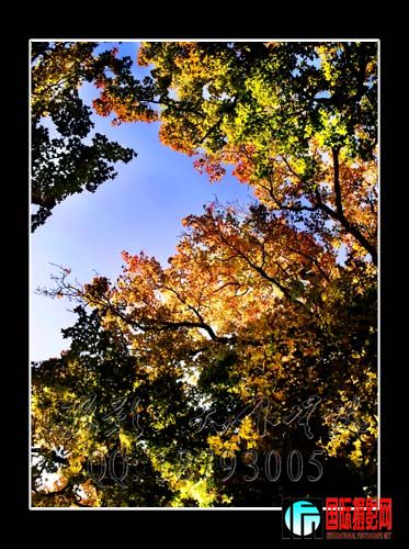 DSC06448 ����.JPG