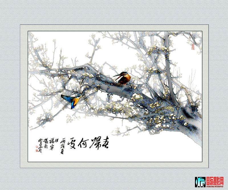 PS����Ч��