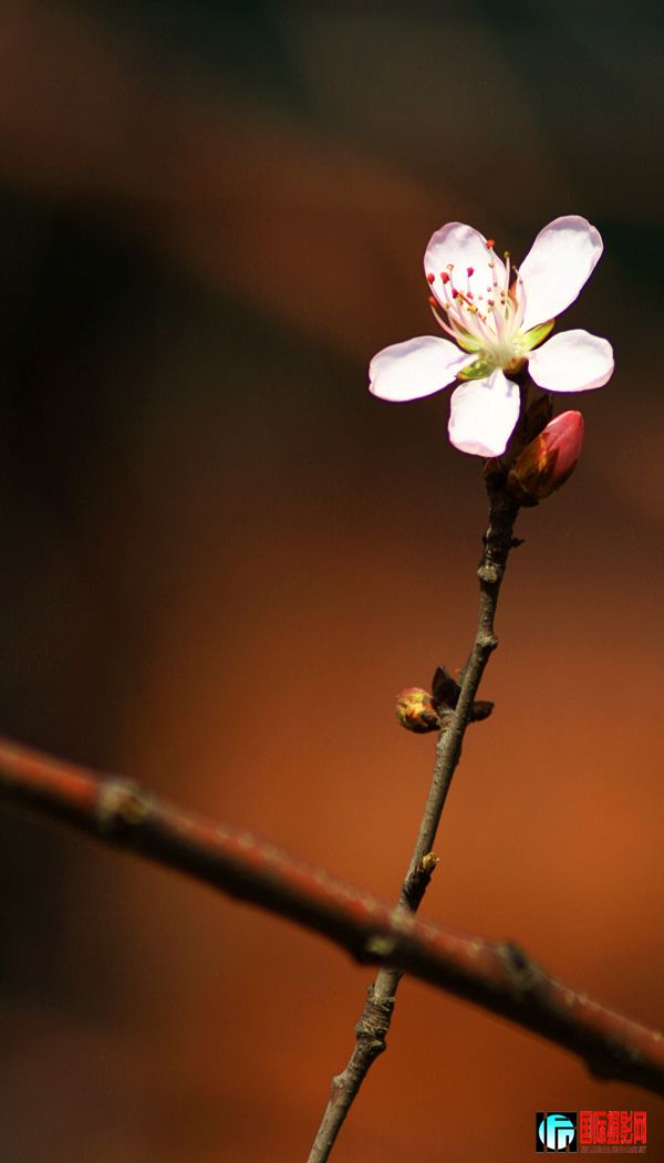 IMG_1441 ��������.jpg