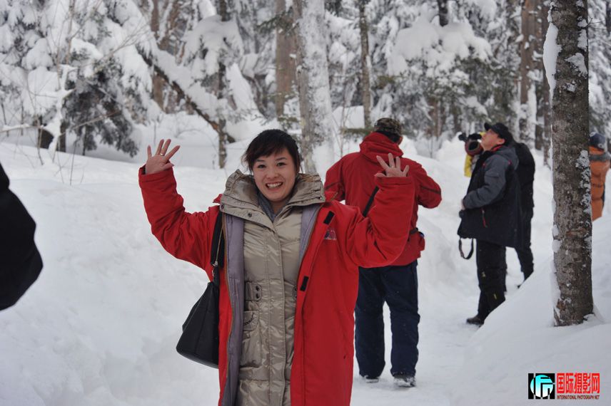 Ʈ��С����