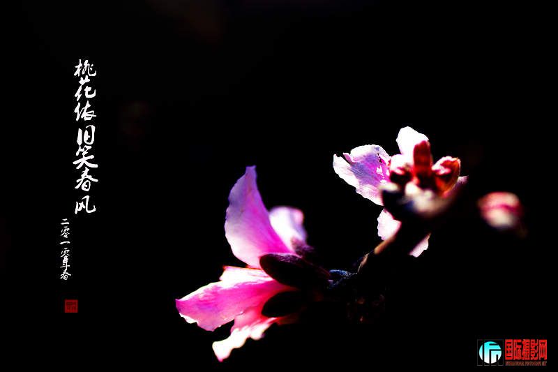 �һ�����Ц����