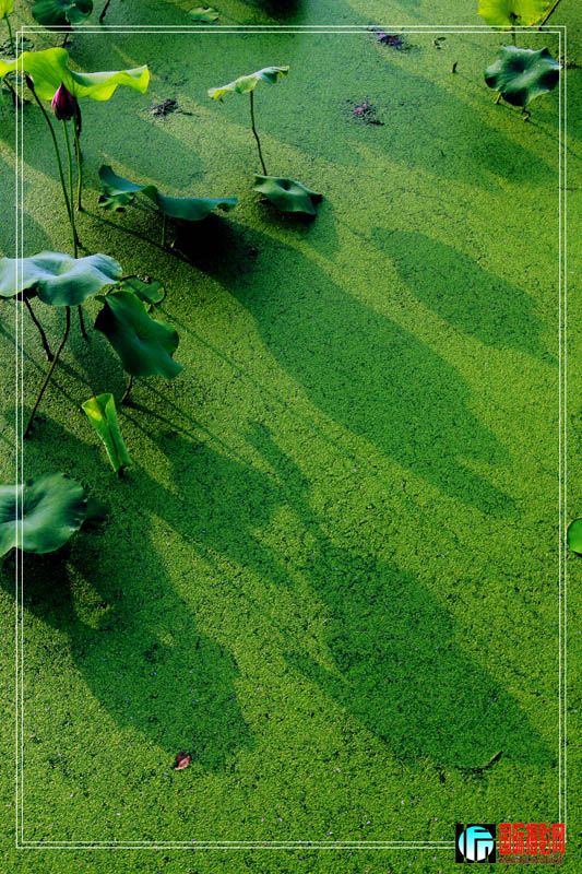 090702[��¶����]���й�����'��֮����;����6 ������������.jpg