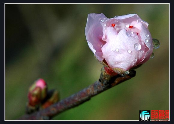 �����һ�����������