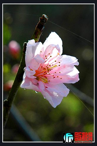 �����һ�����������