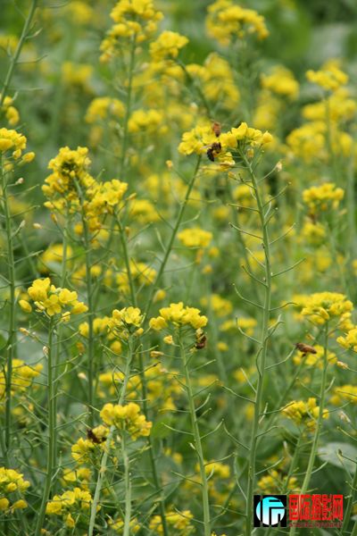 �Ͳ˻���С�۷�