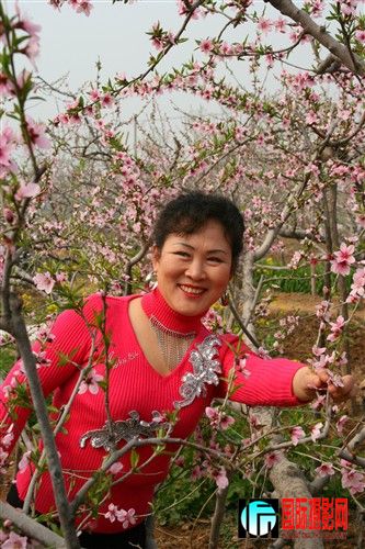 �һ�����