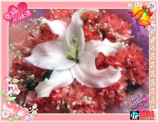 ����ܰ�����׸�ĸ�׵İ�