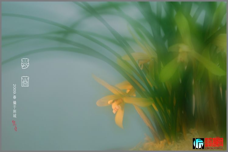 ���� ����+1.jpg