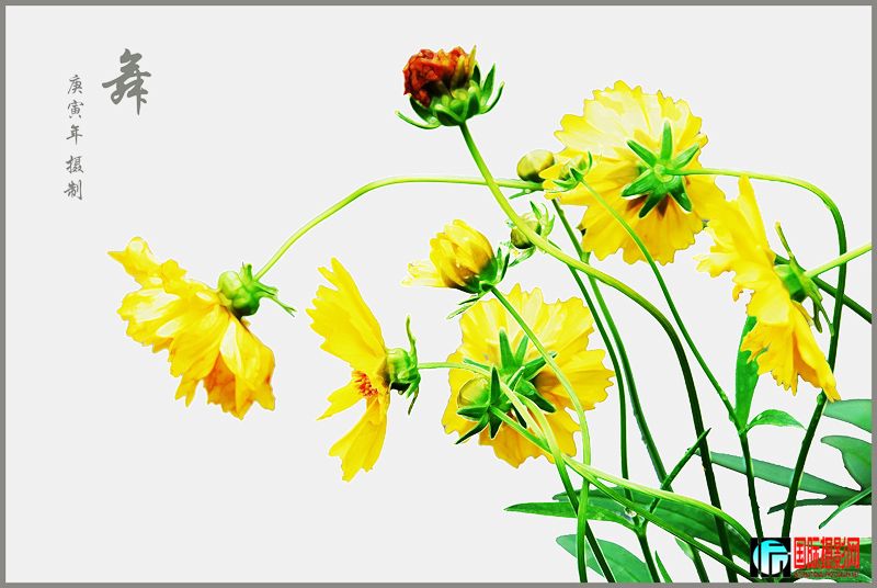 DSC_1259 ���� 2.jpg