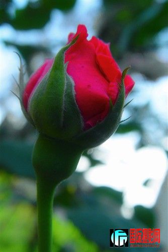 �������ŵ��¼���