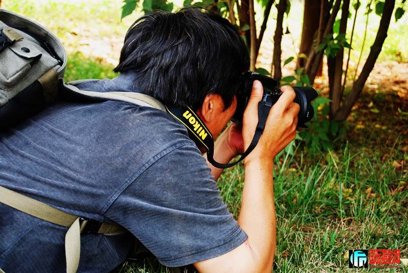 ��Ӱ��Ϊץ�ĳ�һ�õľ�ͷ��ſ�ڵ��ϣ�Ŀ�����һ���������ȴ������ӵĳ���~~~