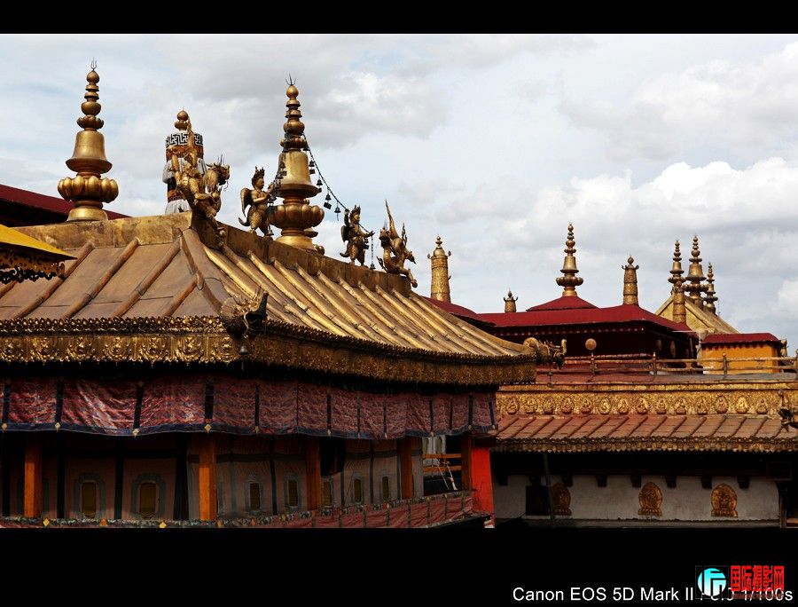 ������ 303.JPG