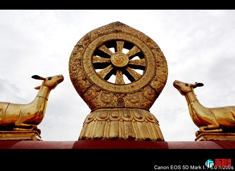 ������ 285.JPG