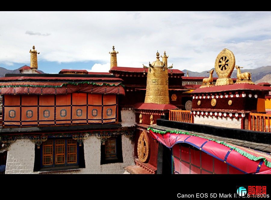 ������ 294.JPG