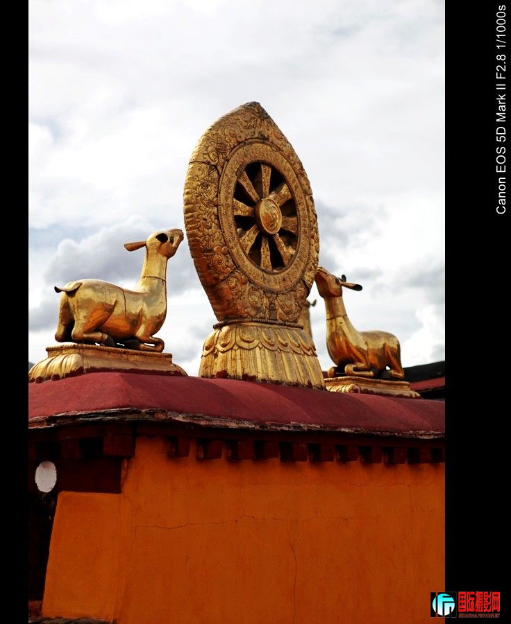 ������ 291.JPG