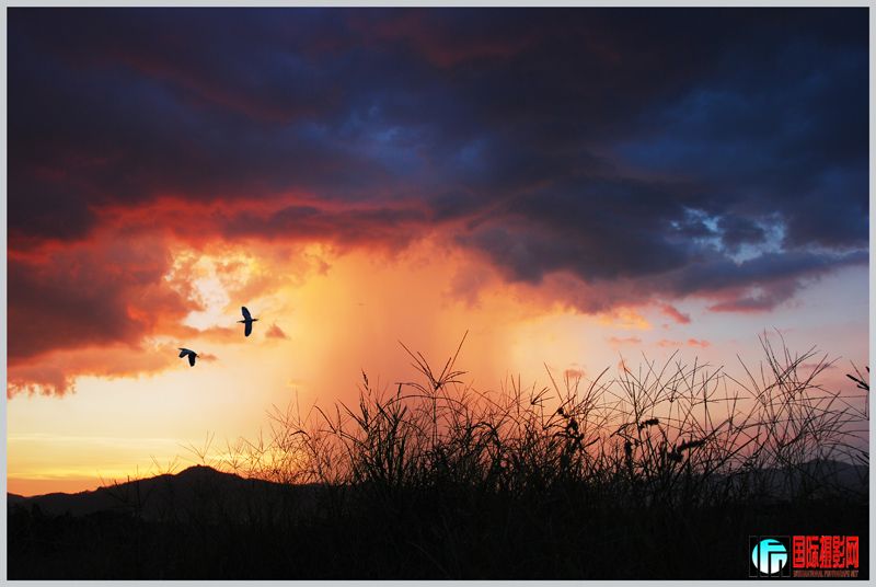 DSC_6873 ����2 +.jpg