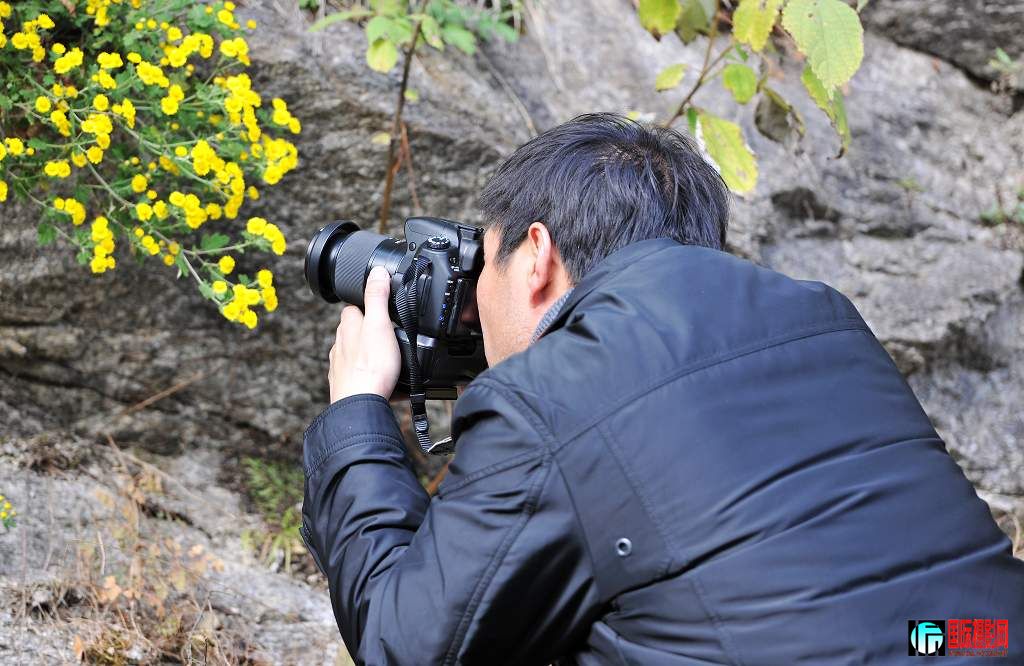 D3X ��2010��10��27��JPG��Ңɽ��Ҷ 114.jpg