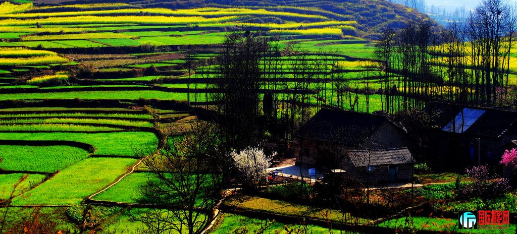 ����ũ��