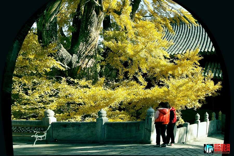 ǧ�����     IMG_4875.jpg