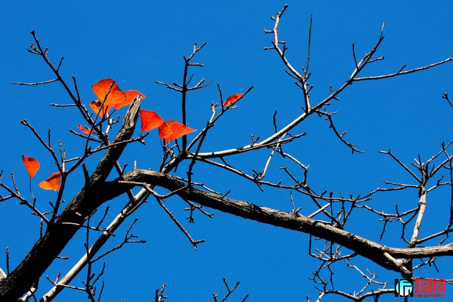 �� ֮ ��     IMG_4619.jpg