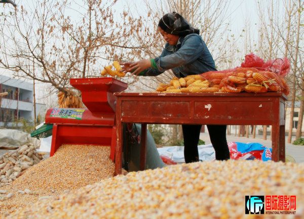 2010.11.23��Ƭ 011_����.jpg