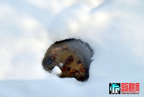 ��ǿ������Сˮ��