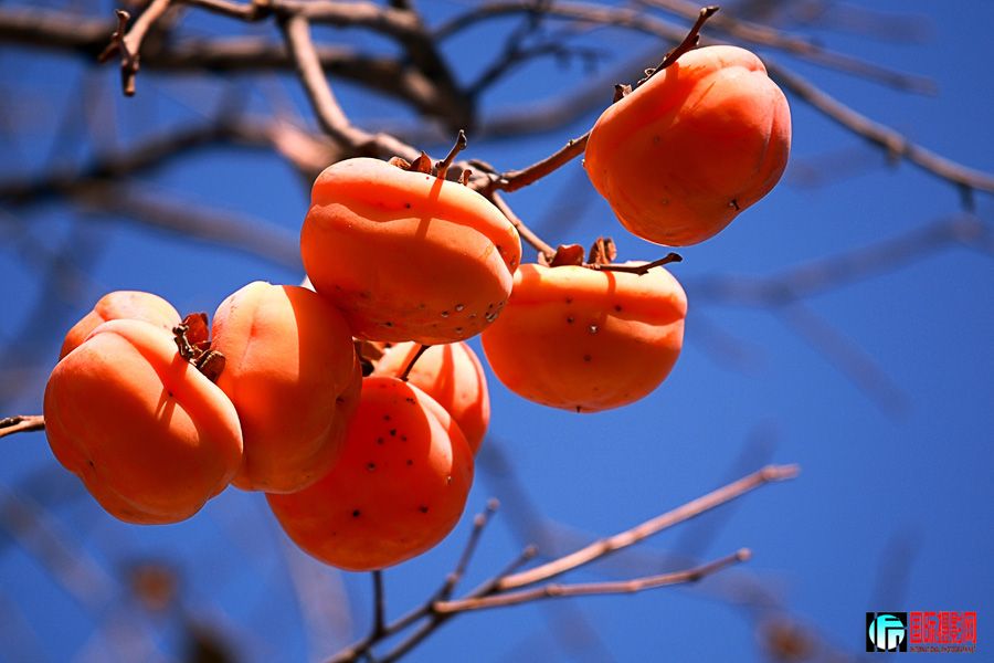 ��---�����µ����� IMG_4933����-1.jpg