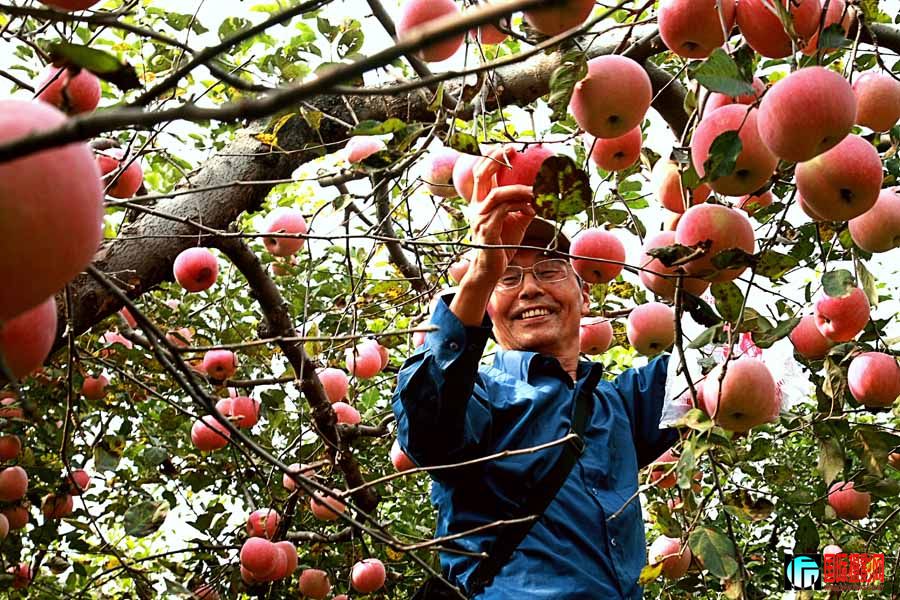 ��---��ժʱ��  IMG_9046����.jpg