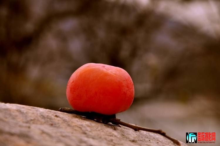 ���Ӻ���