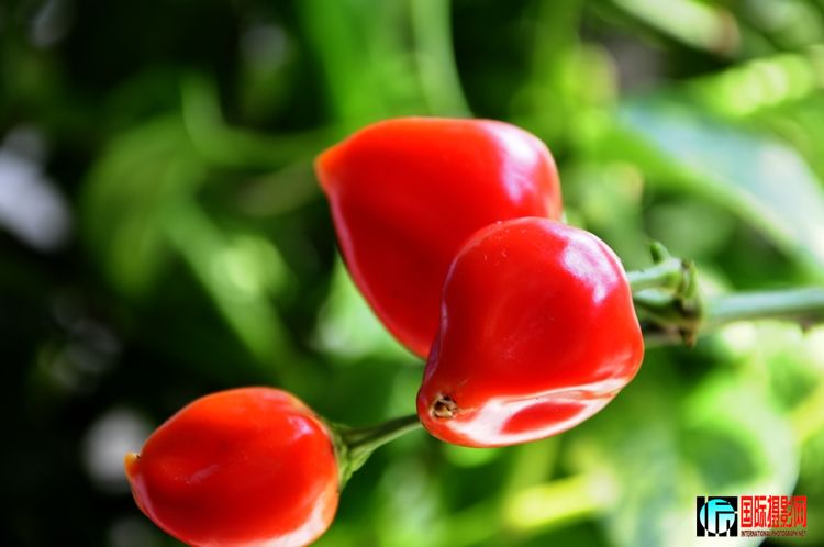 ���Թ���