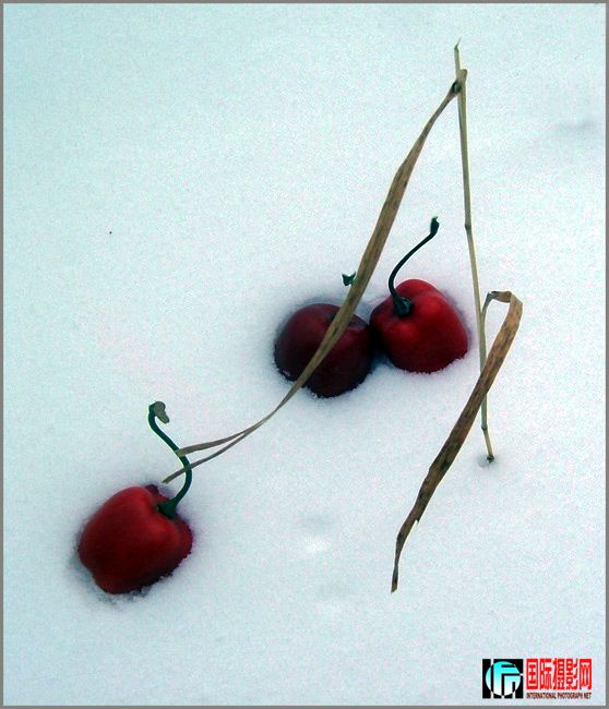 ����ͼƬ-51+M 063 ���� 2.jpg