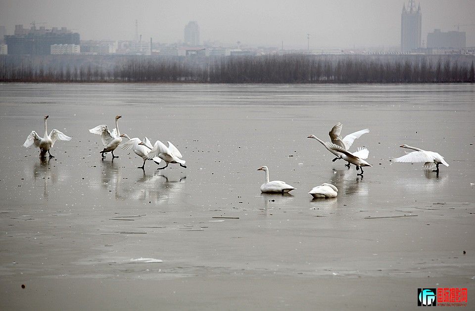 �����Ƭ 186.JPG