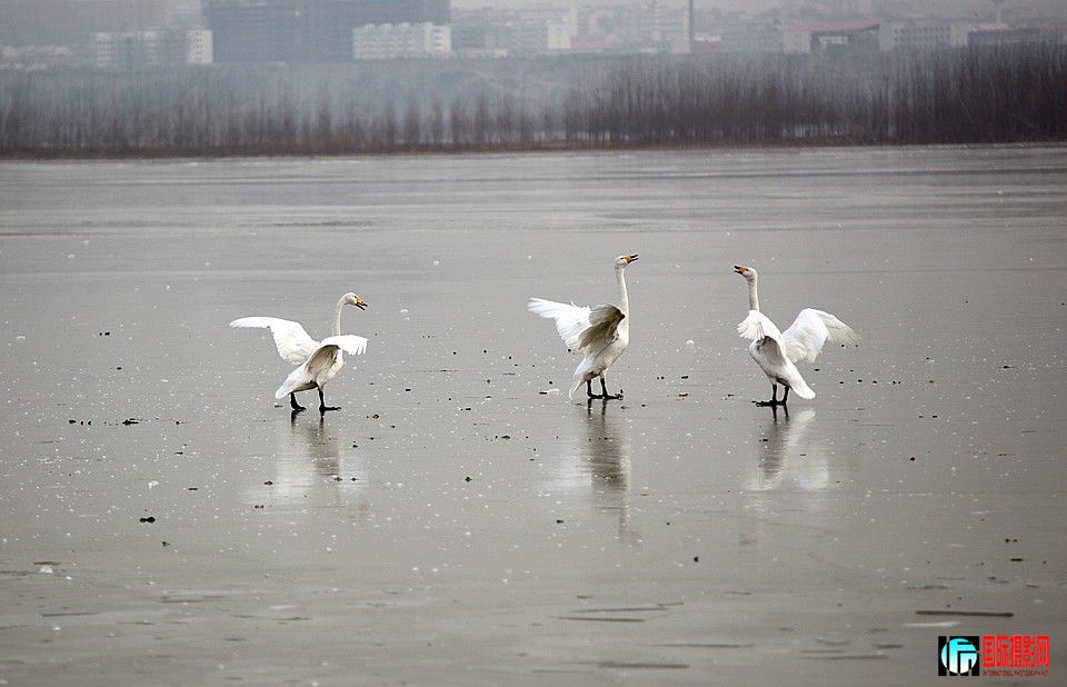 �����Ƭ 207.JPG