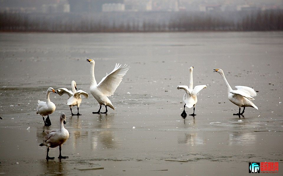 �����Ƭ 274.JPG