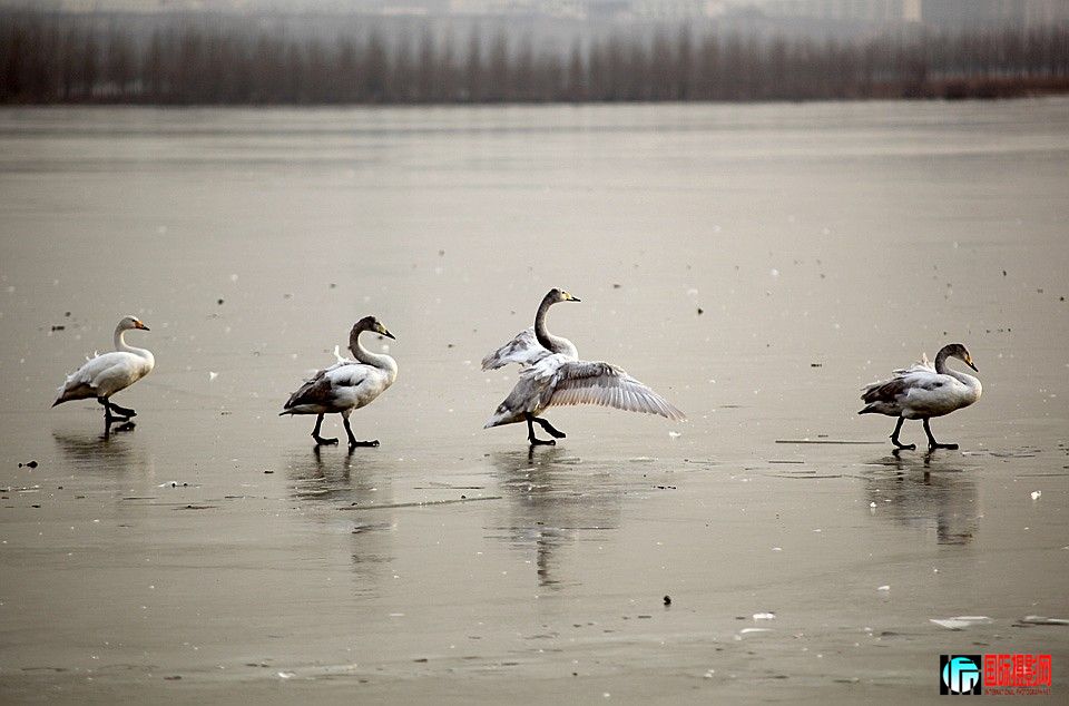 �����Ƭ 041.JPG