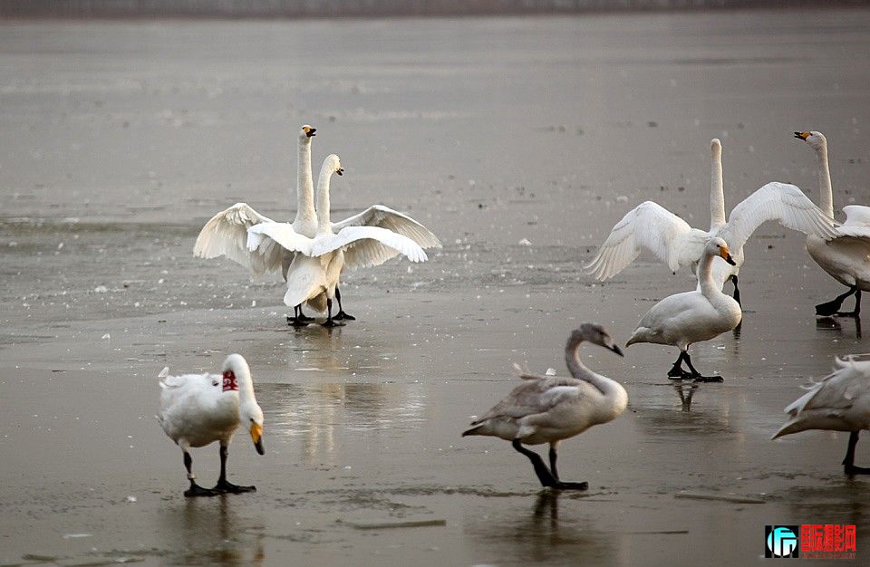 �����Ƭ 280.JPG