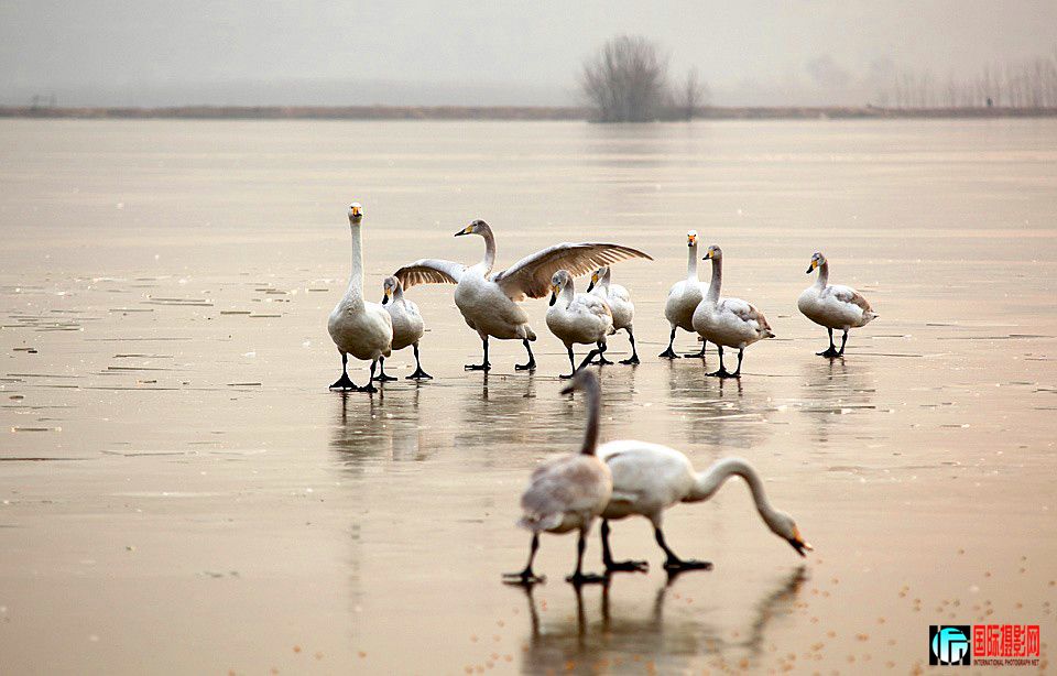 �����Ƭ 228.JPG