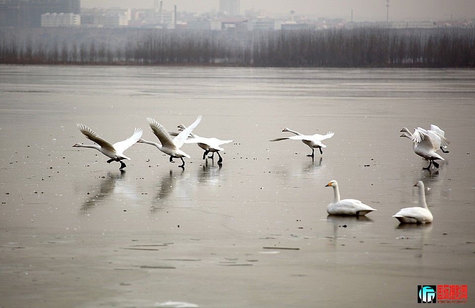 �����Ƭ 108.JPG