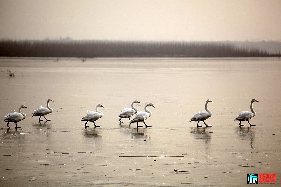 �����Ƭ 048.JPG