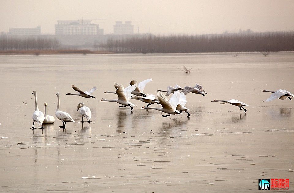 �����Ƭ 067.JPG