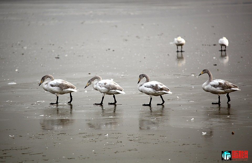 �����Ƭ 264.JPG