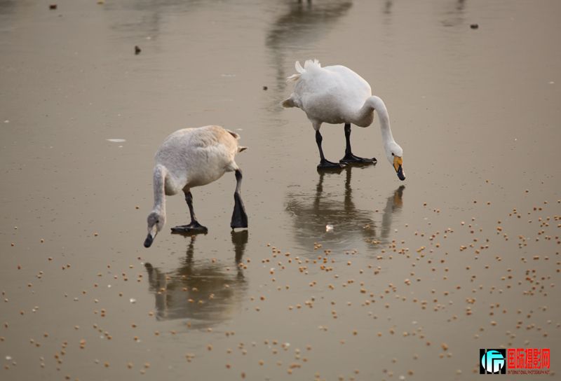 �����Ƭ 235.jpg