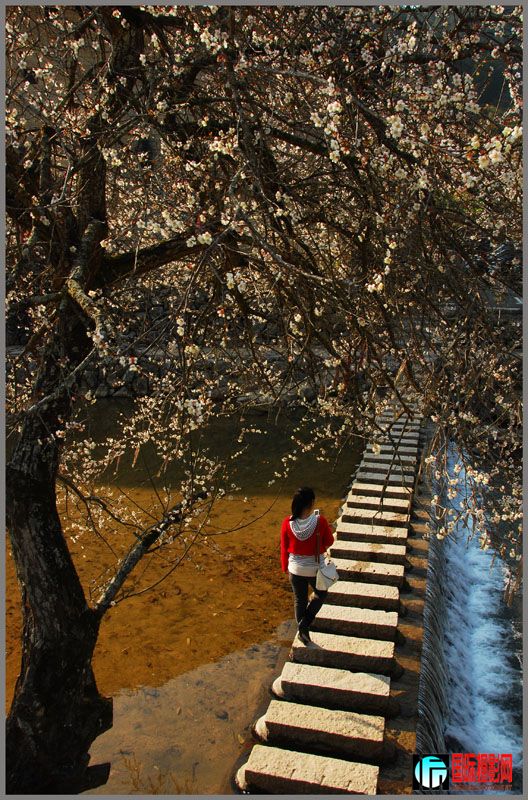 DSC_7802 ����.jpg