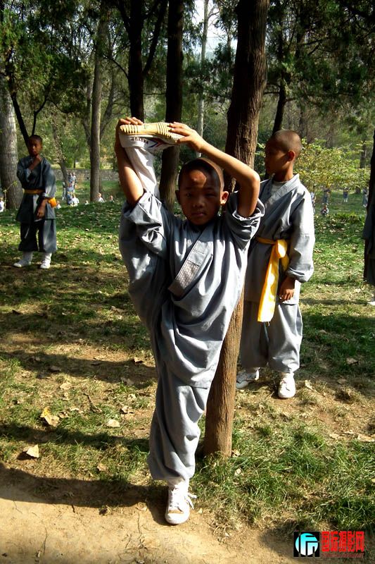 ������ ���� 324.jpg