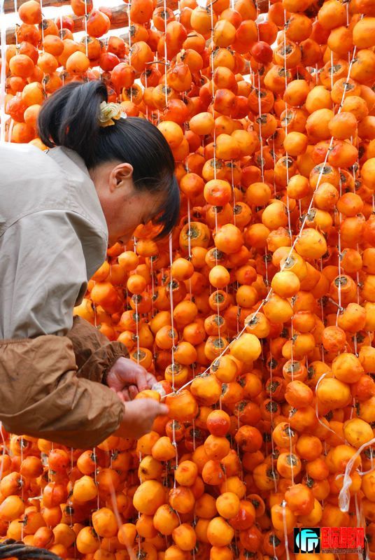 �������ӡ� ��������.jpg