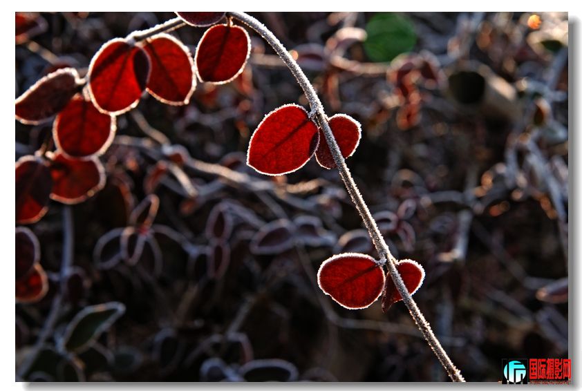 �����ȶ��ˡ�2