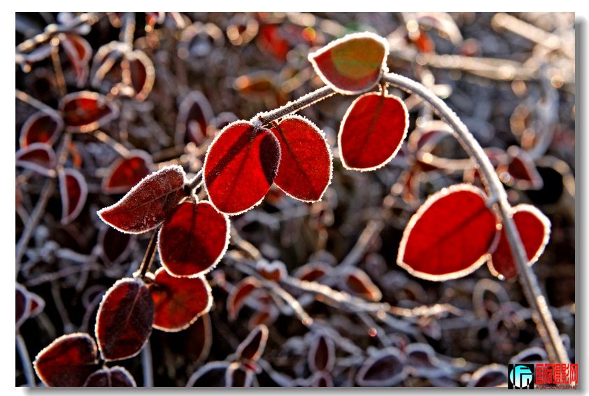 �����ȶ��ˡ�