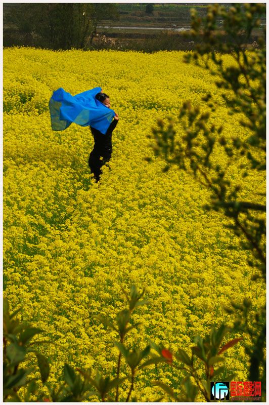 DSC_1714 ����.jpg