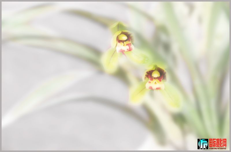 ��˫���� С.jpg